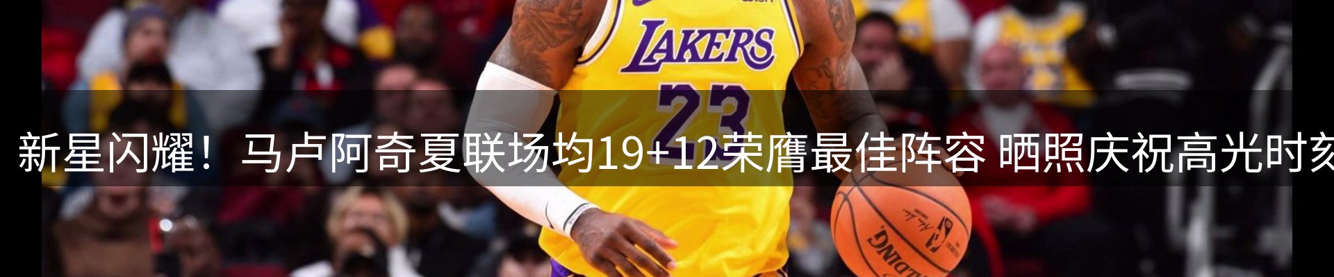 最新动态