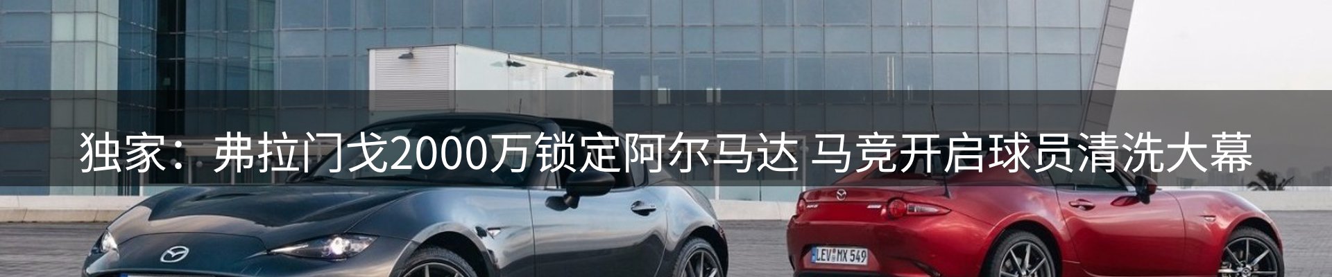 最新动态