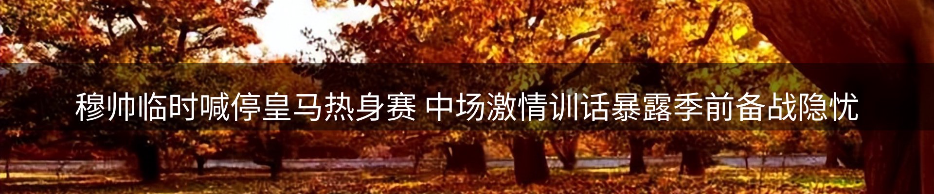 最新动态