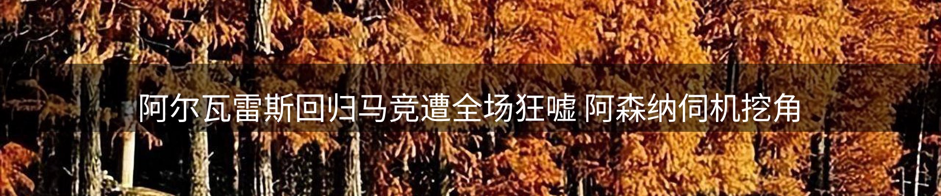 最新动态