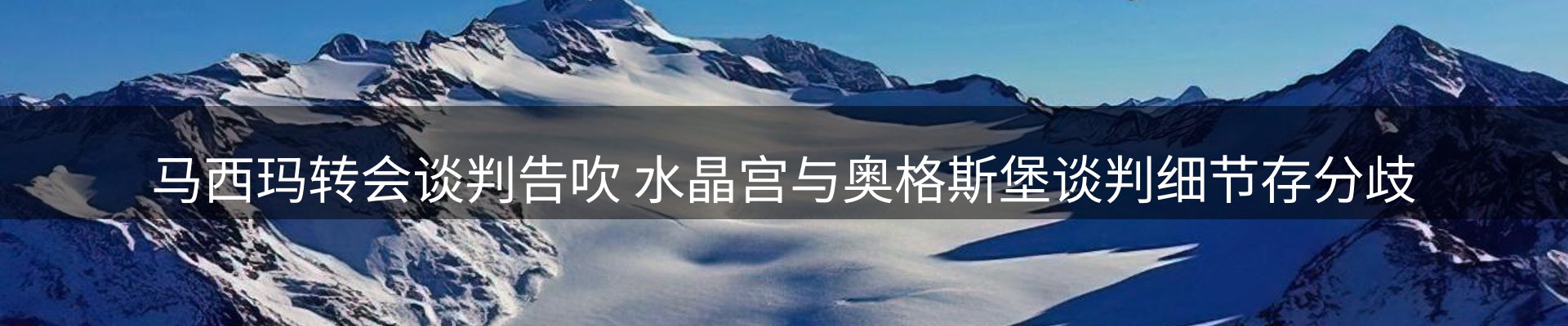 最新动态