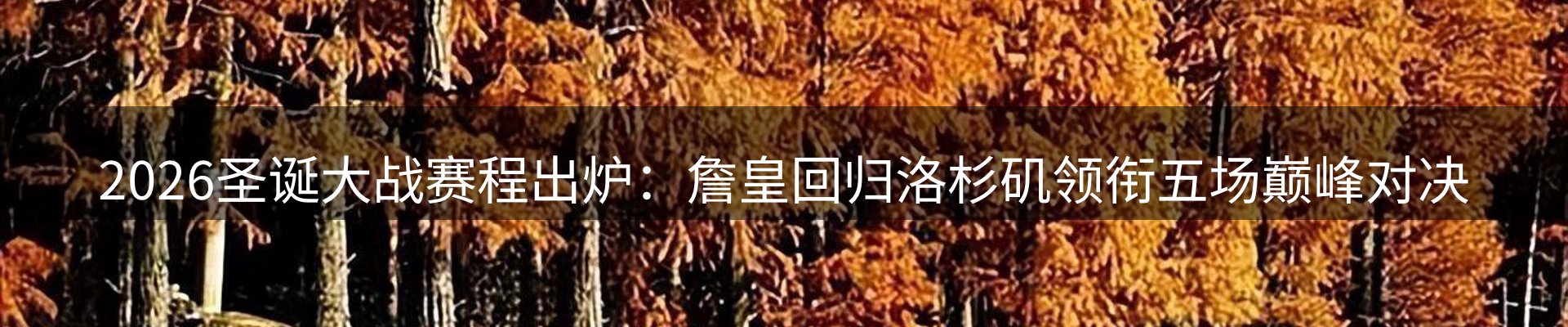 最新动态