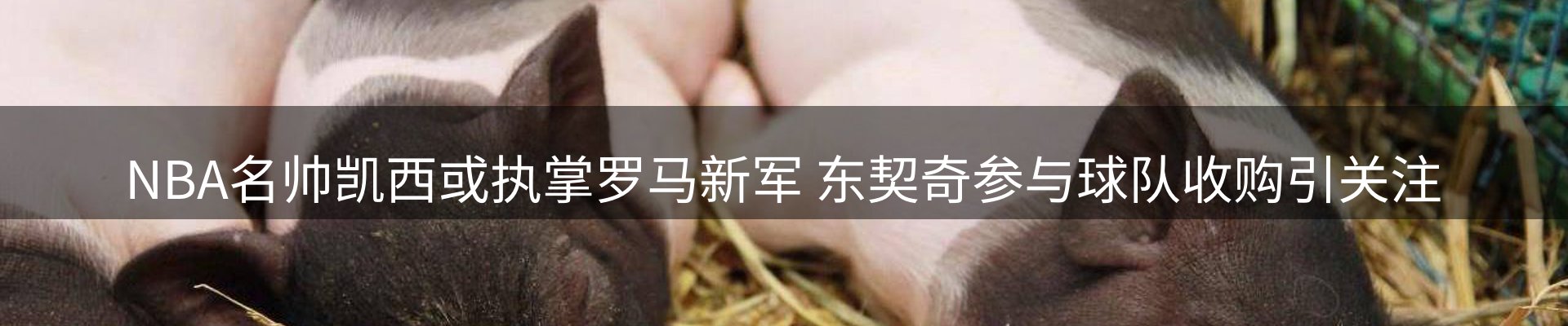 最新动态